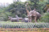 Достопримечательности Чунцина. Зоопарк в Чунцине